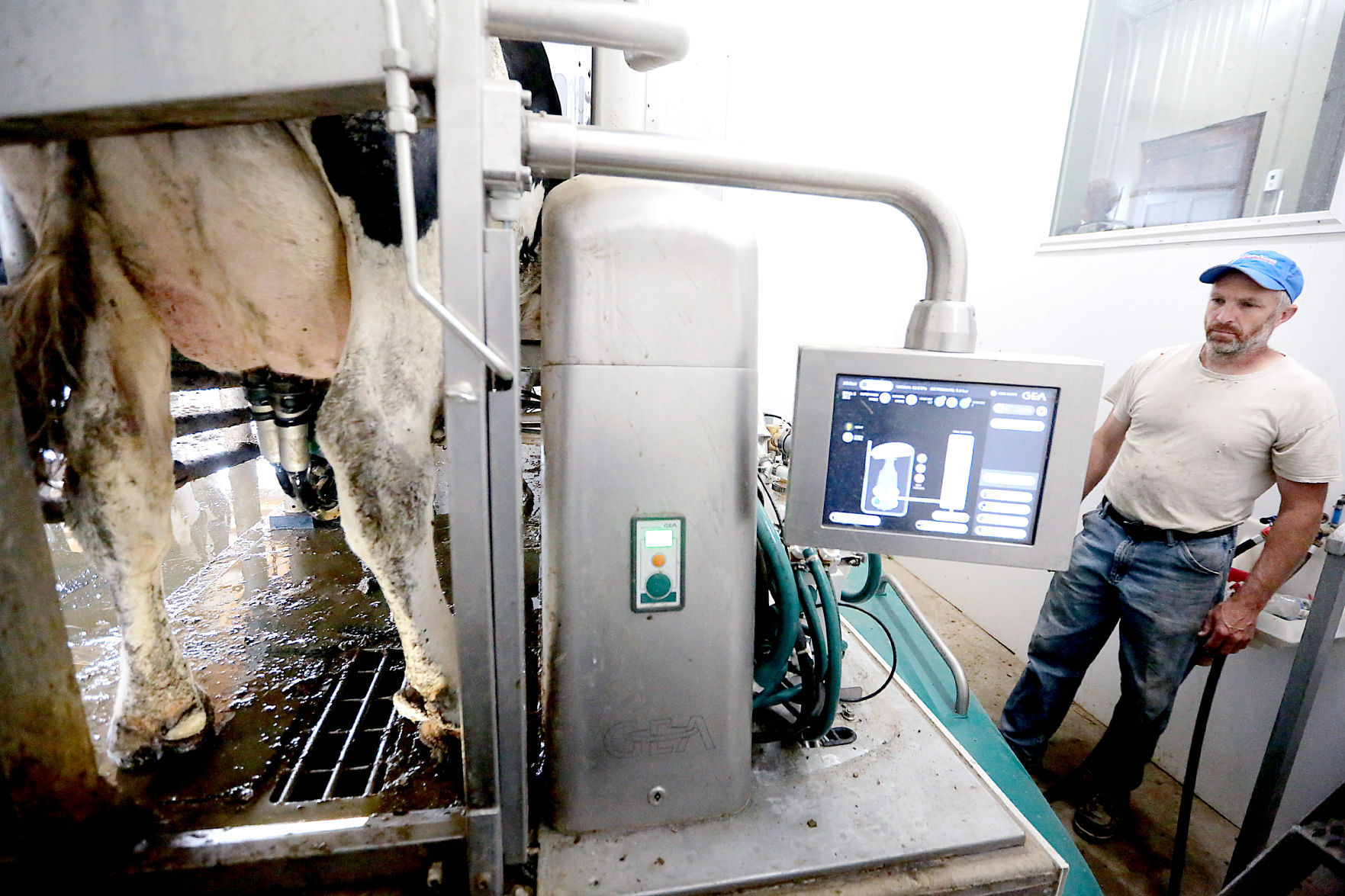 Robotic system replaces need for low-skilled human workers